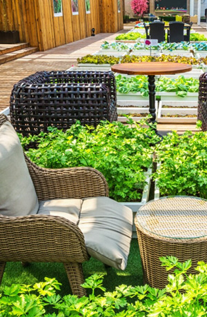 Jardin et extérieur